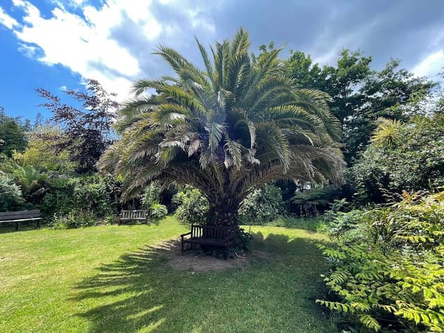 Carreg Dhu Gardens - Image 1
