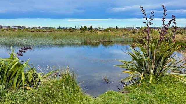 Vernon Drive Wildlife Ponds - Image 2