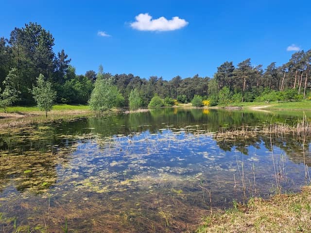 Kooiheideven - Image 1