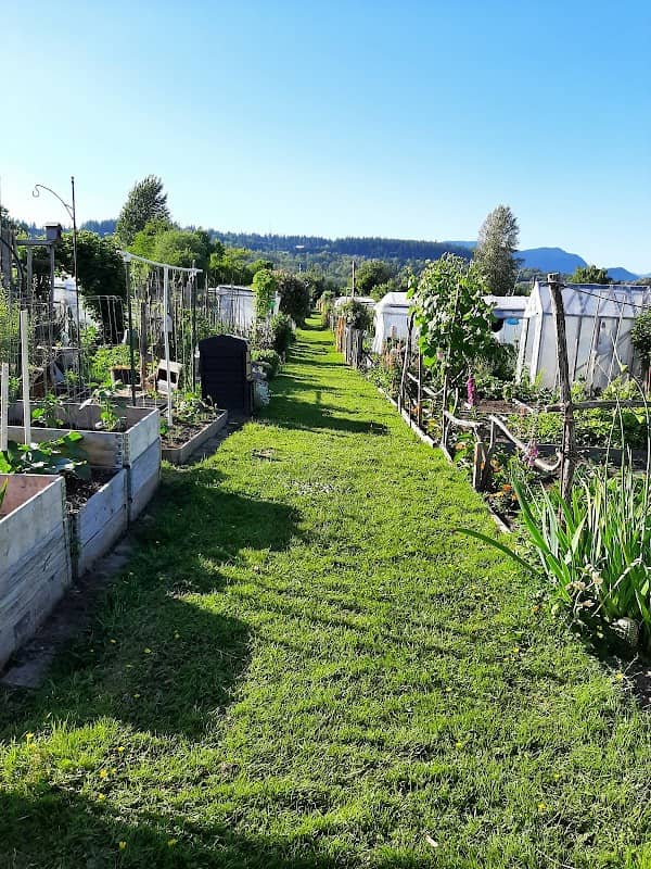 Coquitlam River Community Garden - Image 2
