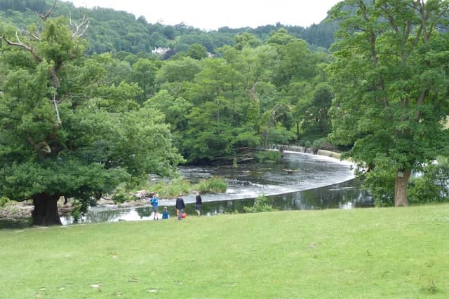Horseshoe Falls - Image 3