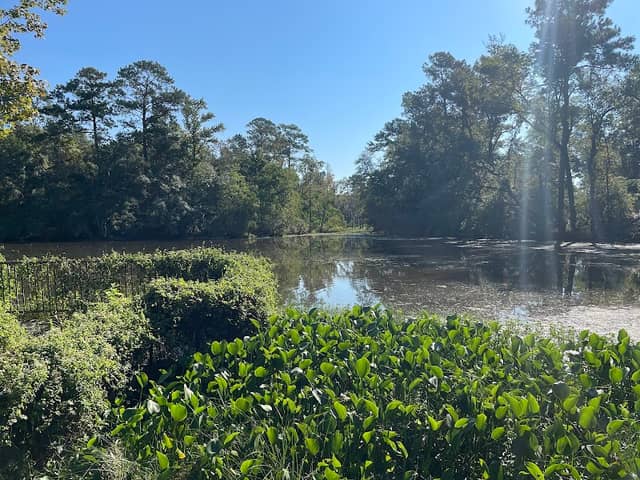 Silver Lake Park - Image 2