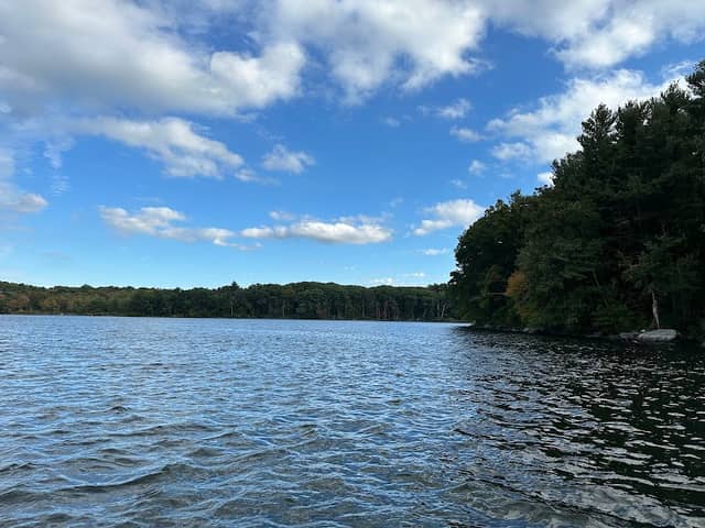 Lake Williams Boardwalk - Image 1