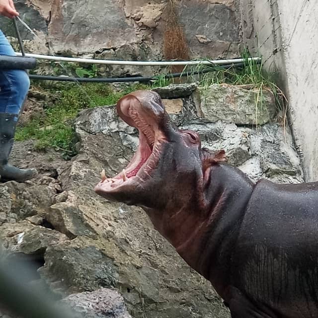 Fundación Zoológico Santacruz - Image 1
