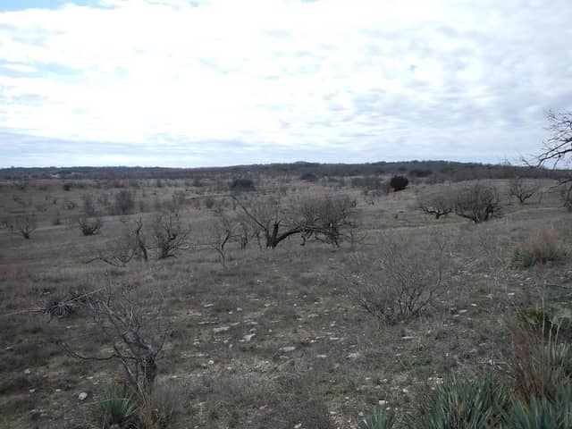 5G Land & Cattle - Image 1
