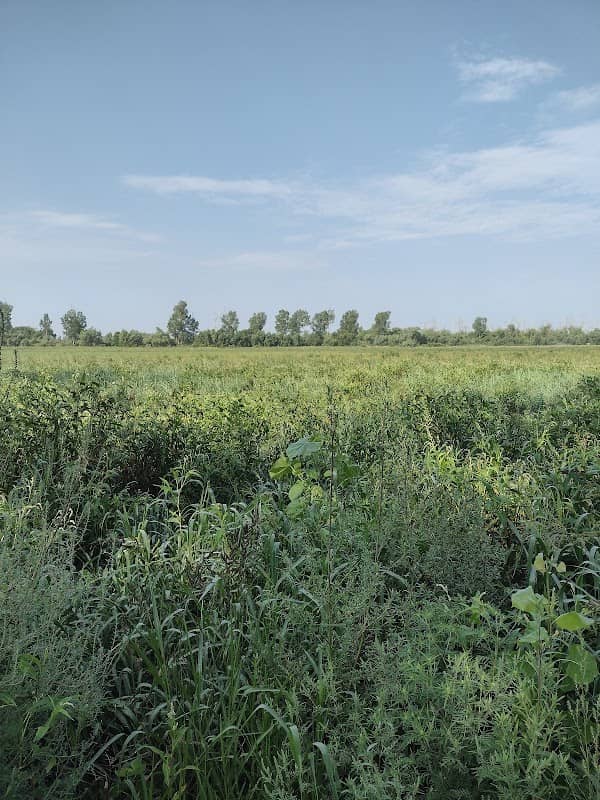 Nobles Lake - Image 1