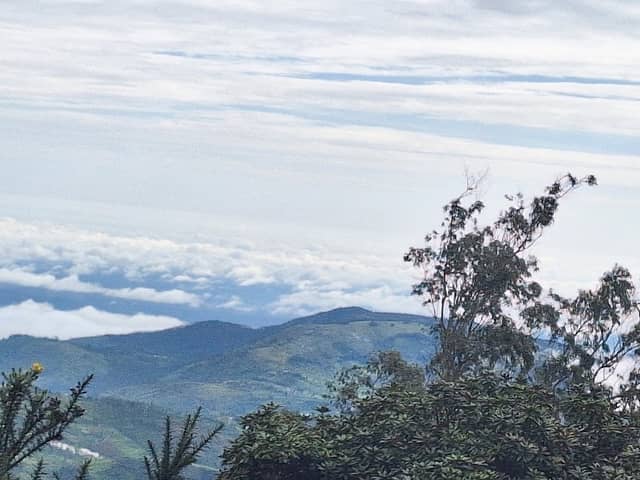 Ooty Viewpoint - Image 2