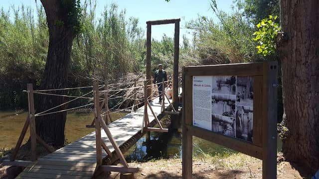 Eco-Parque Montinho da Ribeira - Image 1