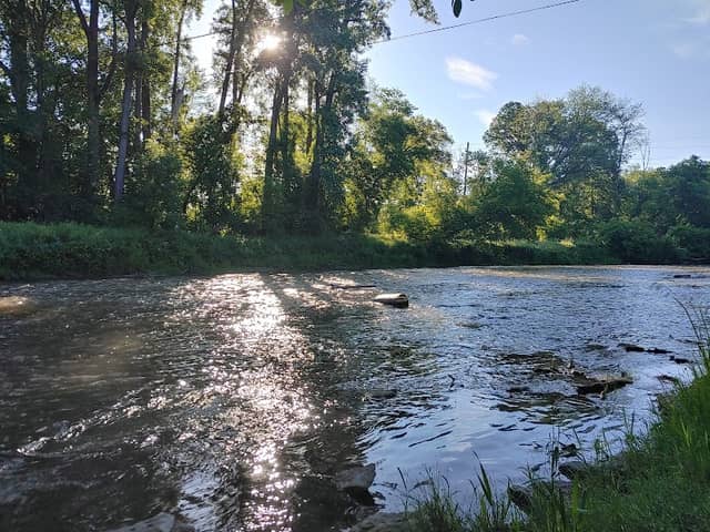 Rifle River Public Access - Image 1