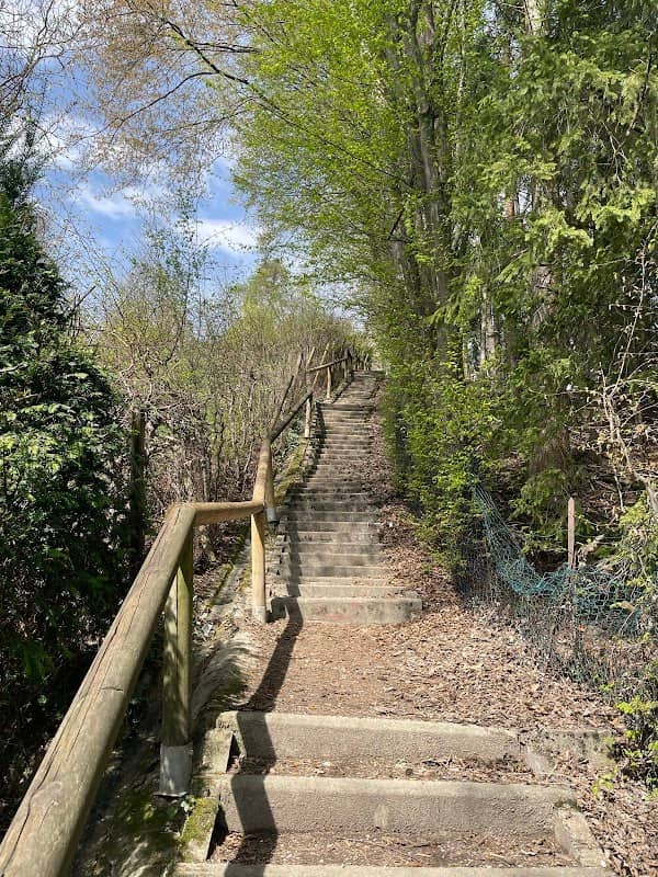 Treppen am Heuberg - Image 2