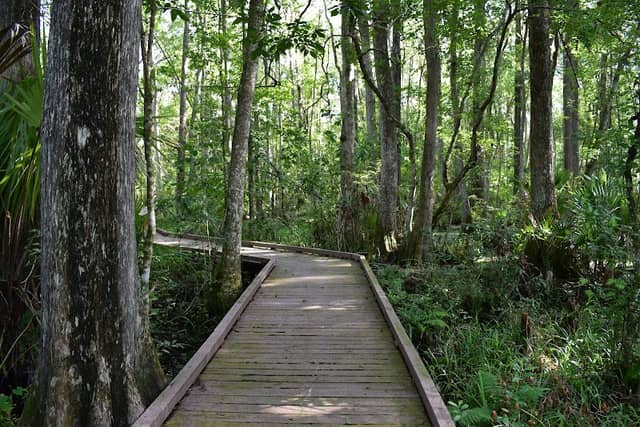 Flat Island Preserve - Image 2