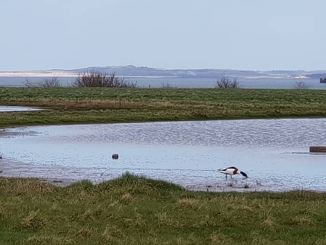 Musselburgh Lagoons - Image 1
