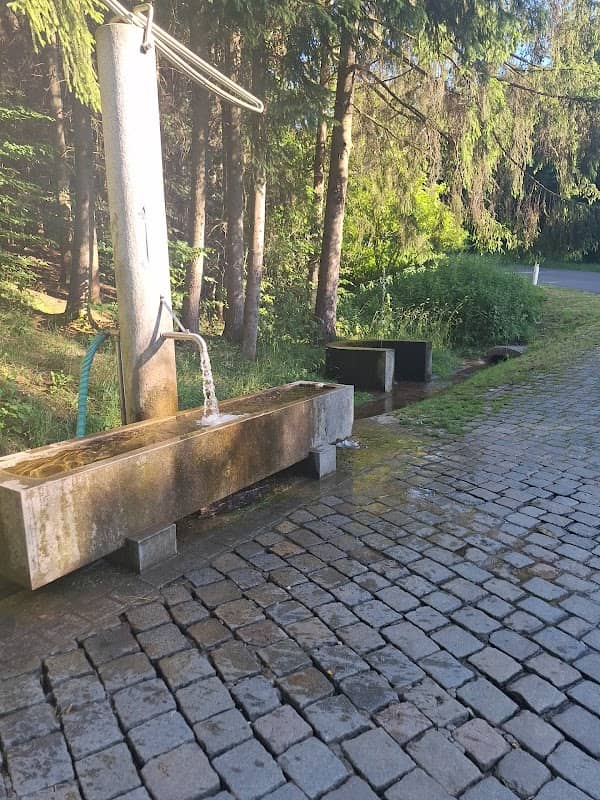 Quelle bei Bammersdorf - Image 1