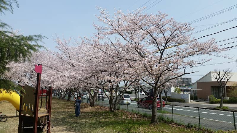 Sakurajima Park - Image 1