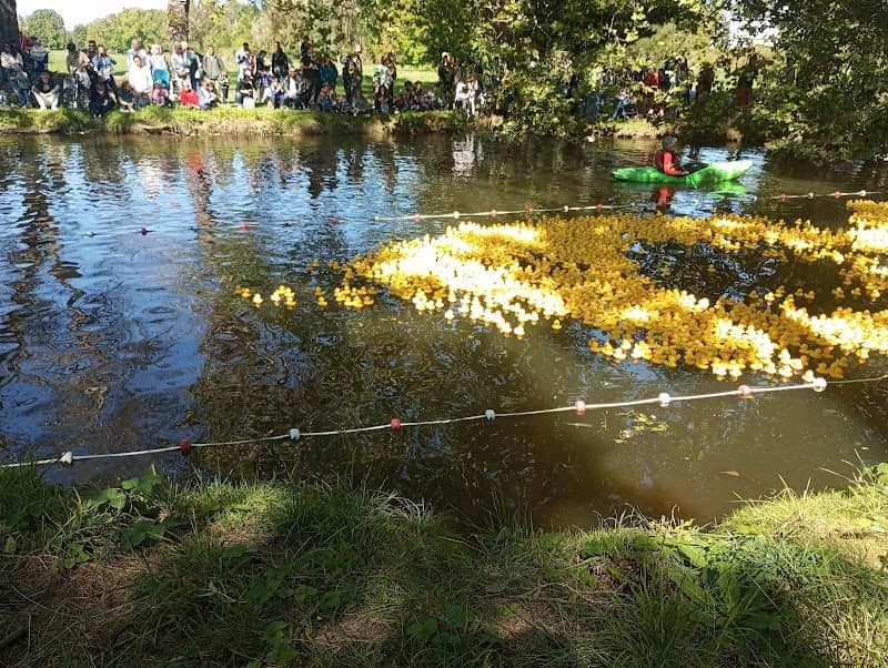 Duck Race Châteauroux - Image 1