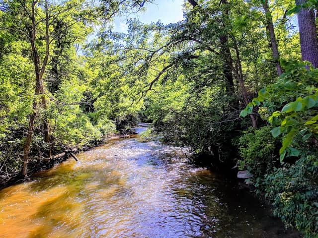 Tyler Creek Forest Preserve - Image 2