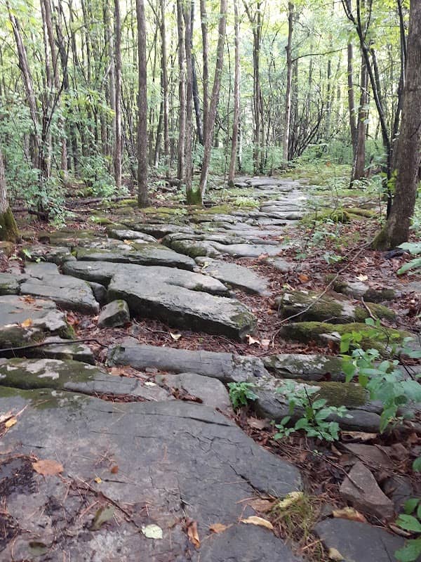 Landsdowne Natural Heritage Park - Image 2