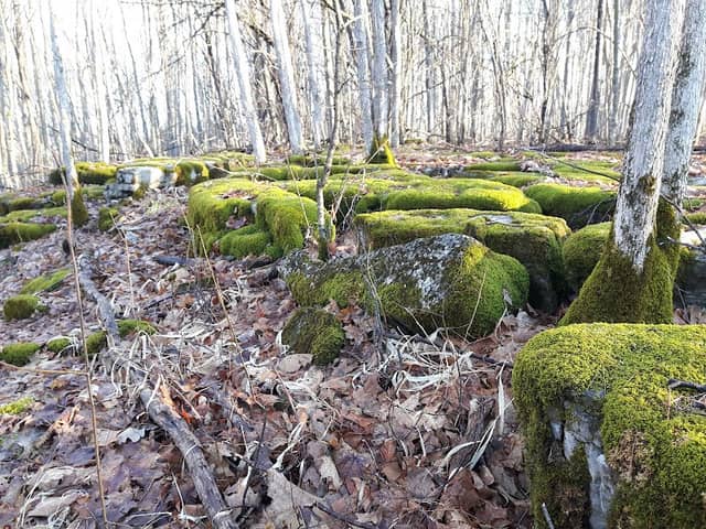 Landsdowne Natural Heritage Park - Image 1