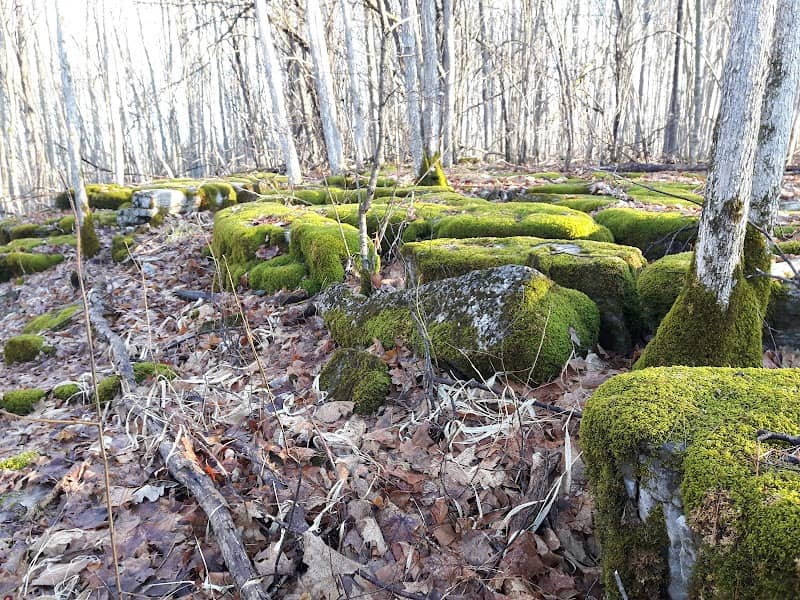 Landsdowne Natural Heritage Park - Image 1