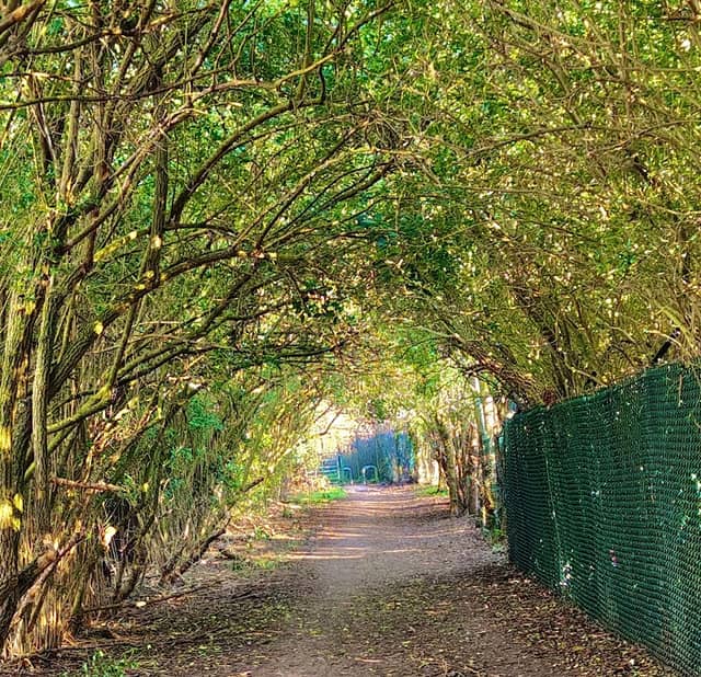 Hartsbourne Stream - Image 1