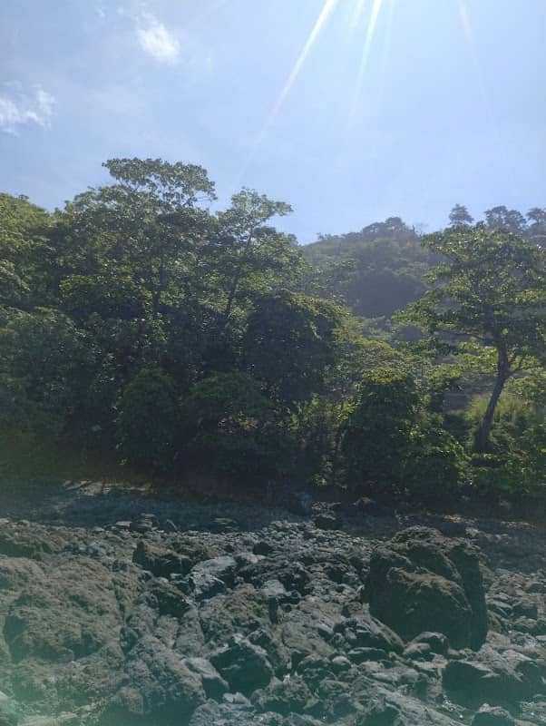 Ocean overlook - Image 2