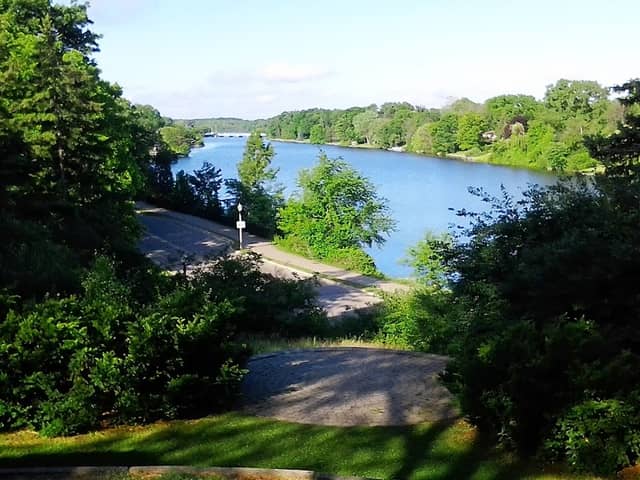Frances Park - Image 2