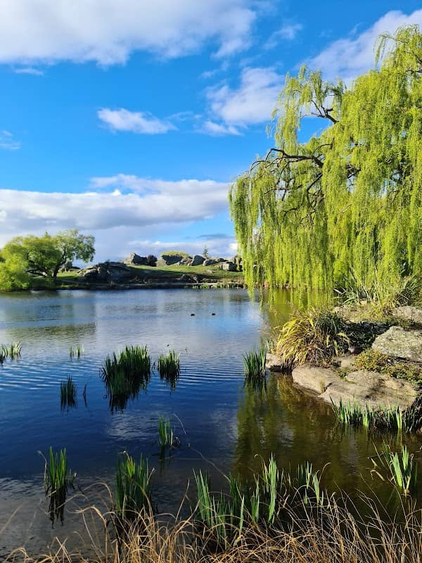Lanes Dam - Image 1