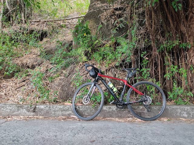 Banyan Tunnel - Image 2