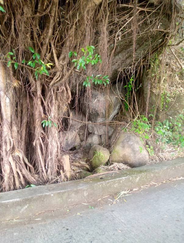 Banyan Tunnel - Image 3