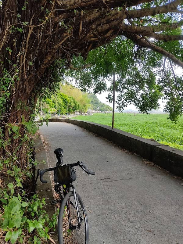 Banyan Tunnel - Image 1