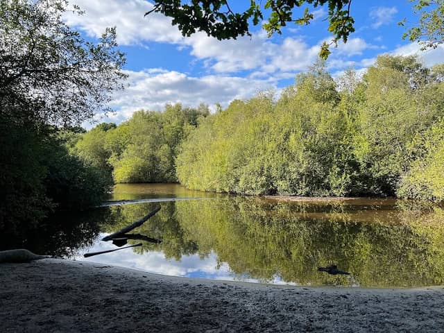 Whitmoor Common - Image 2