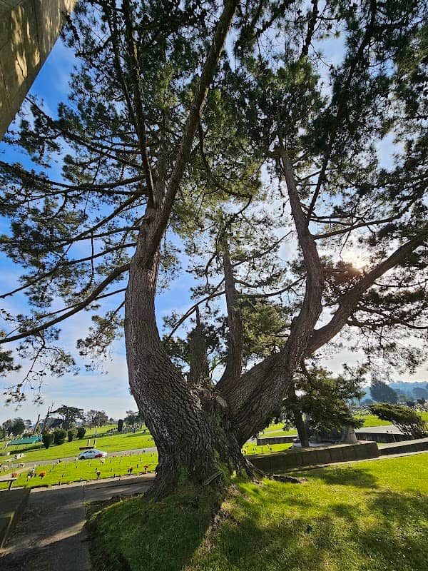 Laurel Hill Garden - Image 2
