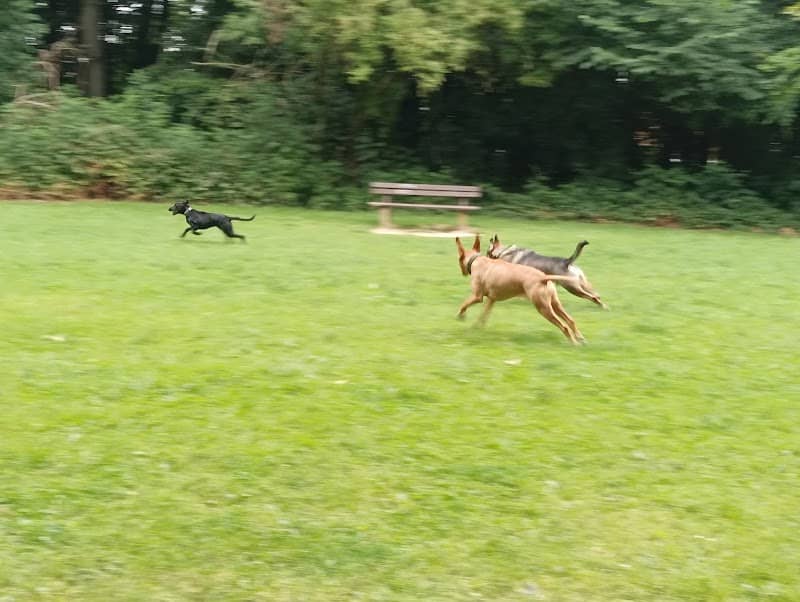 Hundeauslauffläche Stadtrat-Hahn-Park - Image 1
