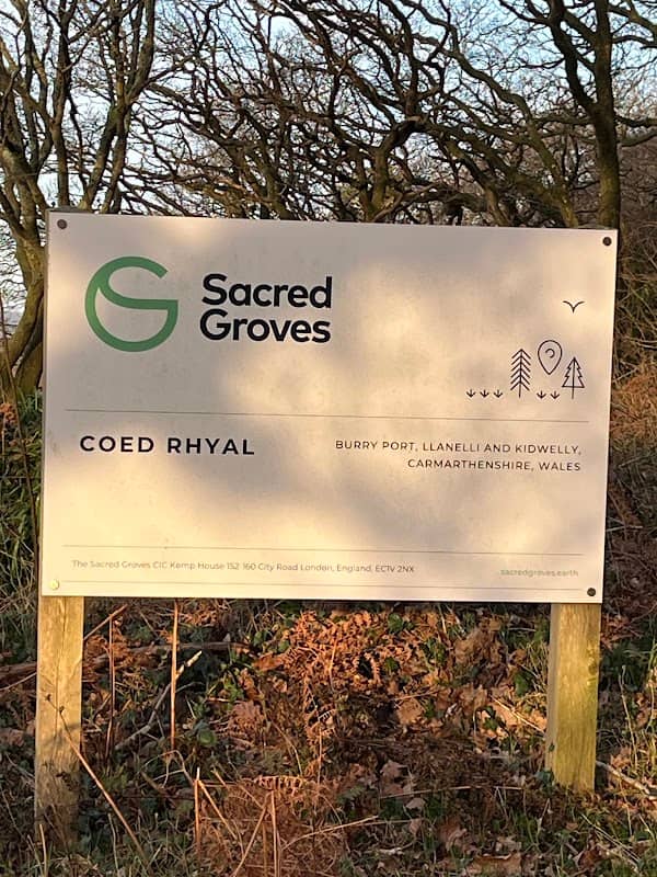 Sacred Groves Coed Rhyal - Image 1