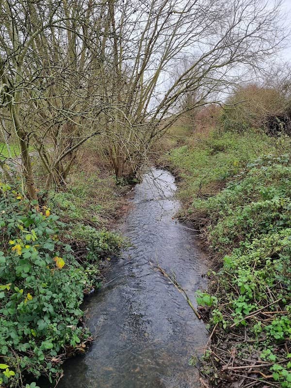 Brain Valley park. Mill Park Drive - Image 2
