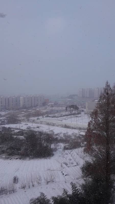 수량공원 - Image 2