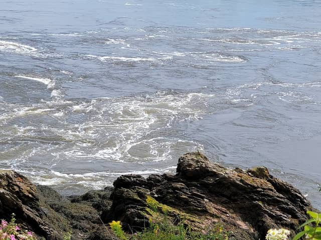 Reversing Falls Tourist Lookout - Image 2