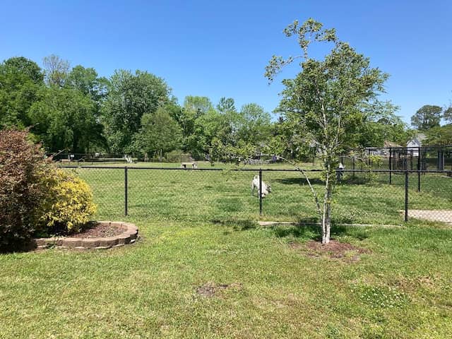 River Bend Dog Park - Image 2