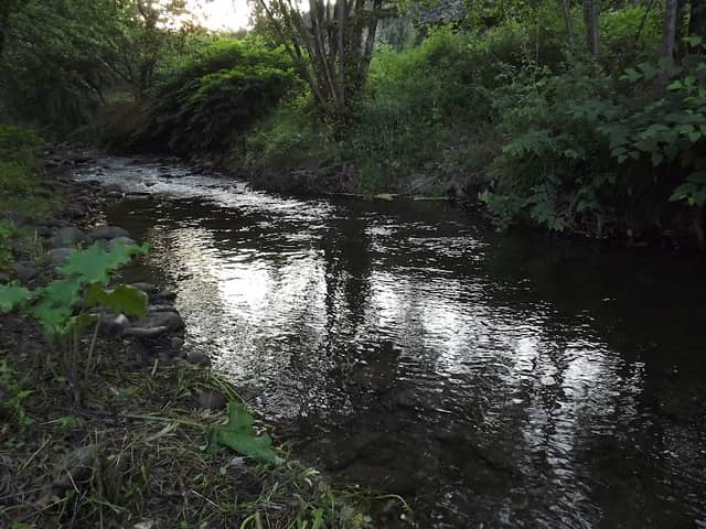 Torrente Vincio di Montagnana C 2 - Image 1