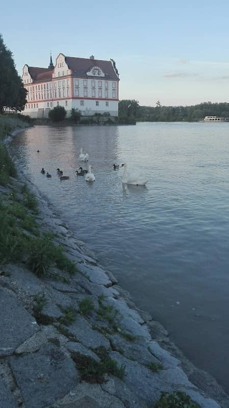 Schloss Neuhaus - Image 2
