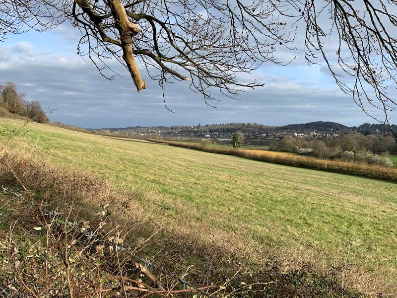 National Trust - Denbies Hillside - Image 2