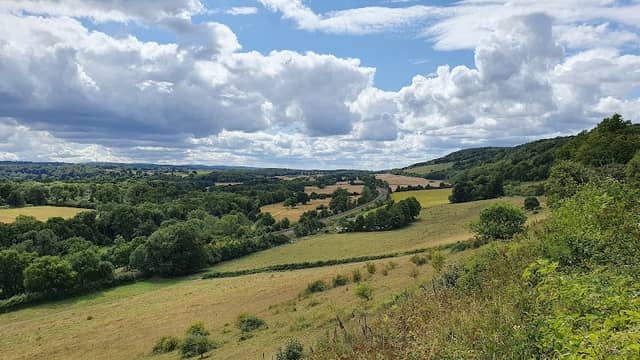 National Trust - Denbies Hillside - Image 1