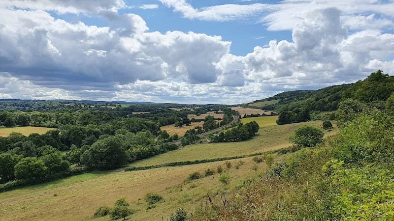 National Trust - Denbies Hillside - Image 1