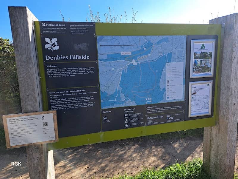 National Trust - Denbies Hillside - Image 3