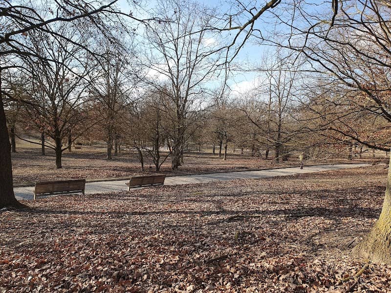 Parco Forlì - Image 2