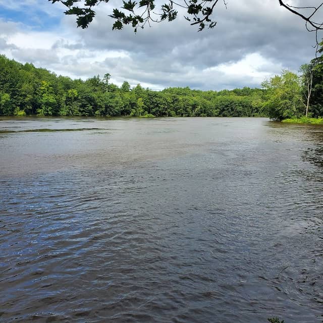 Androscoggin Woods - Image 2