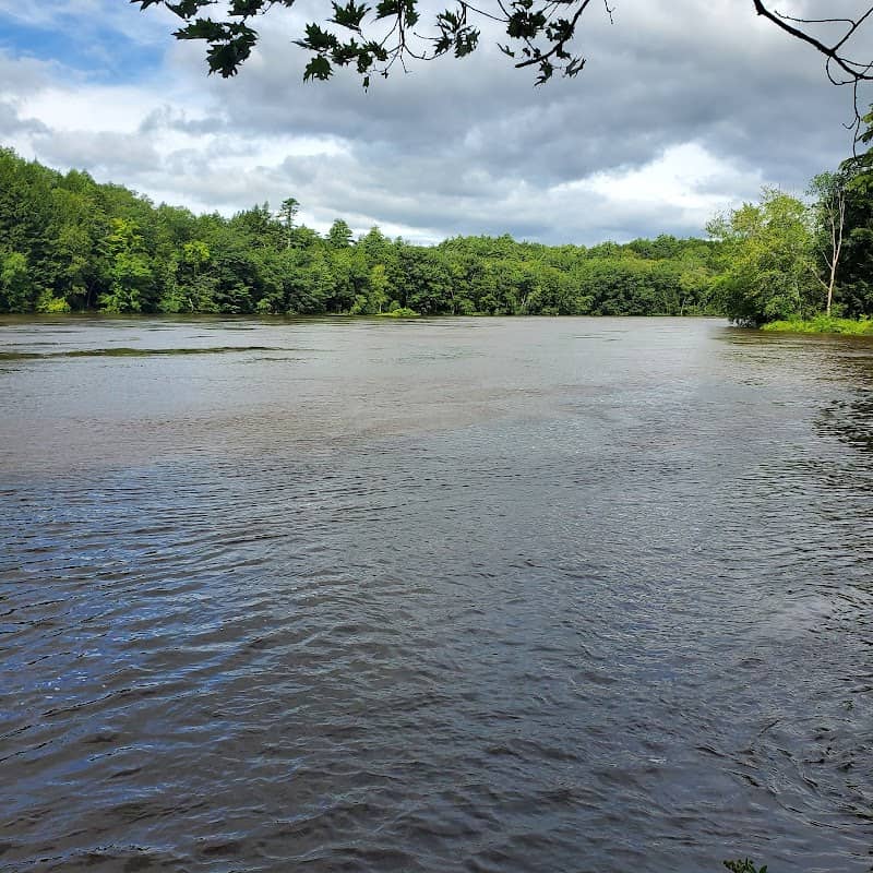 Androscoggin Woods - Image 2