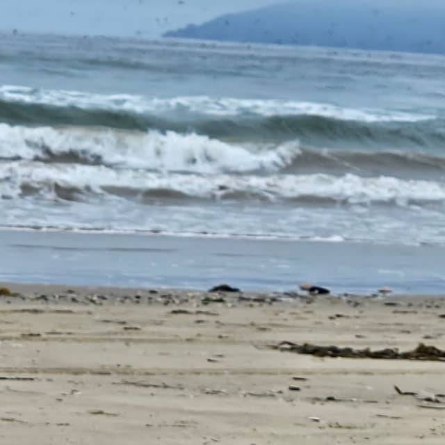 Pismo Drive-On Beach - Image 1