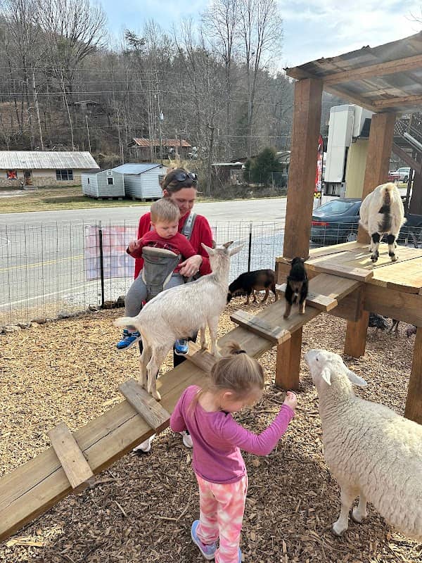 Tuckasegee Farm Animal Rescue & Petting Zoo - Image 1
