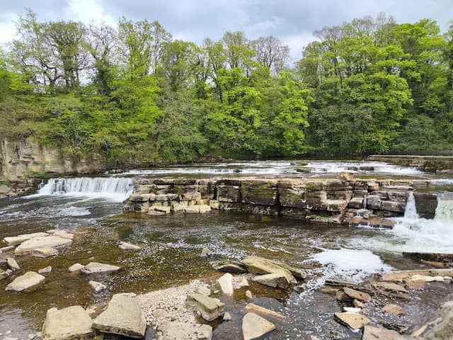 Richmond Falls - Image 2